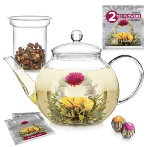 Glass Tea Pot
